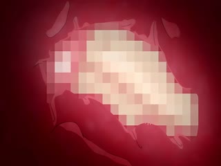 [ピンクパイナップル] レイカは華麗な僕の女王 THE ANIMATION 第2巻 [JDXA-57814]